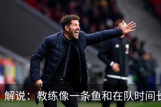 解说：教练像一条鱼&在队时间长了就会发臭 杜锋话语出现效应递减